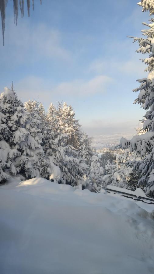 Chata Pietraszyna Koniakow Luaran gambar