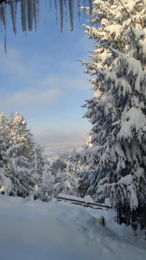 Chata Pietraszyna Koniakow Luaran gambar