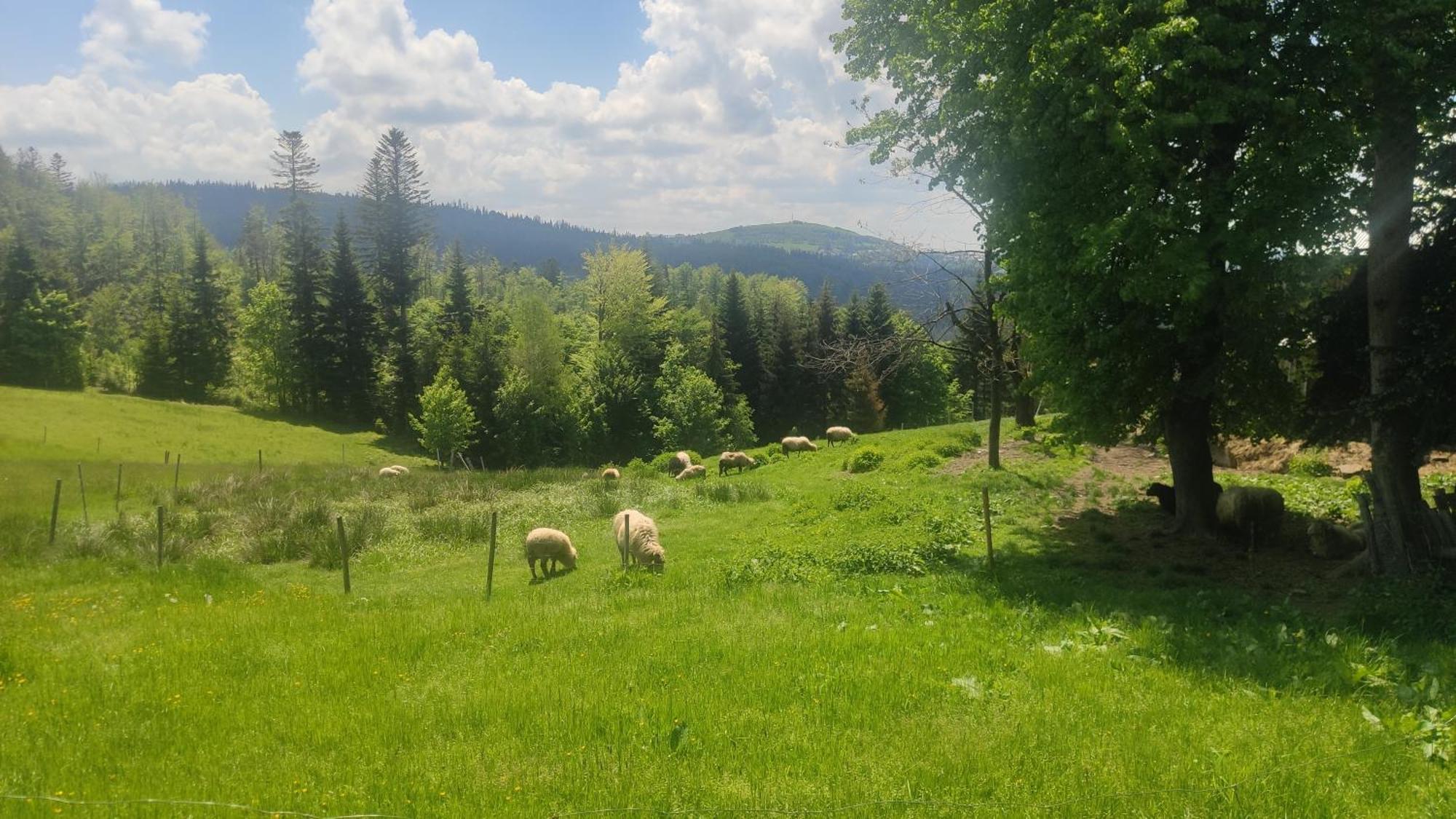 Chata Pietraszyna Koniakow Luaran gambar
